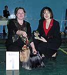 1 место - йоркгширский терьер Любимое Хобби Король Тайги, Лопатская