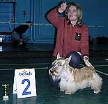 2 место - скотчтерьер Юнкер Импересс Эй Ди, Соснина