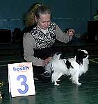 3 место - японский хин, Ветка Сакуры Центурион, Сальникова