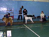 конкуренция на BIS