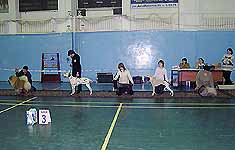 конкуренция на BIS