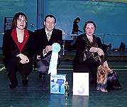 3 место -  йоркгширский терьер Любимое Хобби Король Тайги, Лопатская